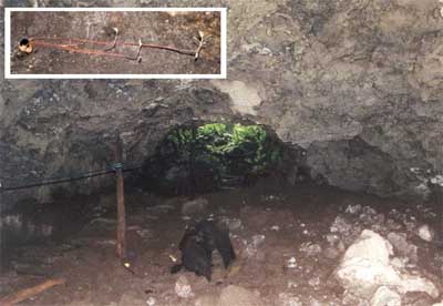 Click for enlarged photo