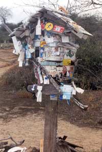 Click for enlarged photo