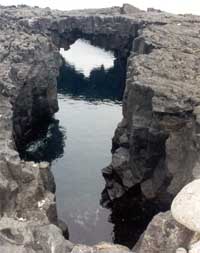 Click for enlarged photo